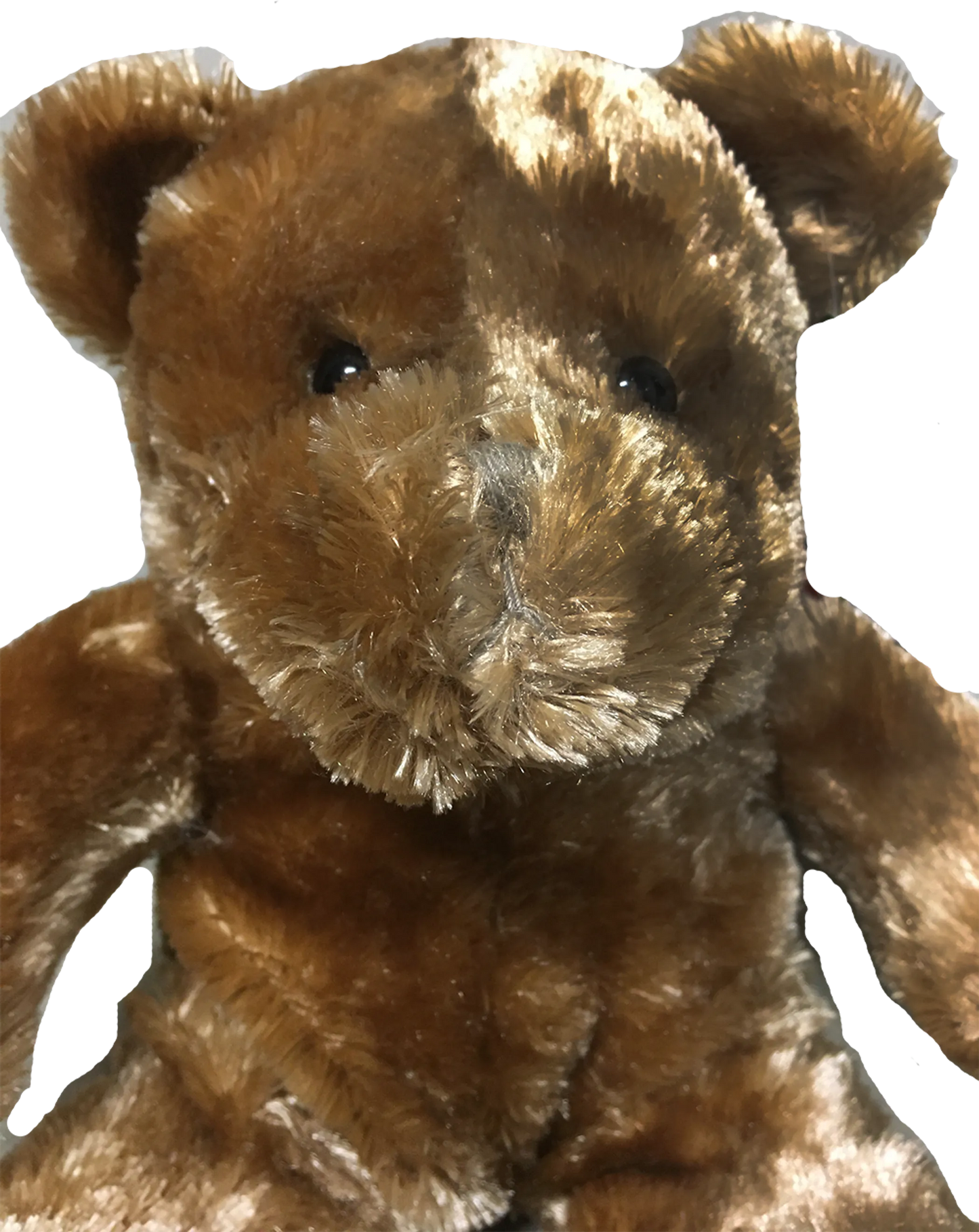 Teddy Bear 11.5" Tall Plush Stuffed Animal