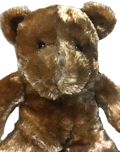 Teddy Bear 11.5" Tall Plush Stuffed Animal