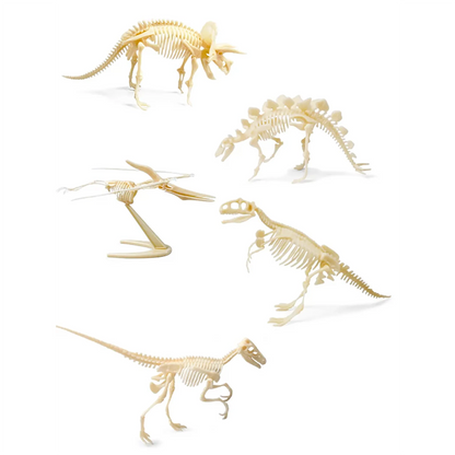 Dinosaur Skeleton Realistic Model Assembly Peggable Kits