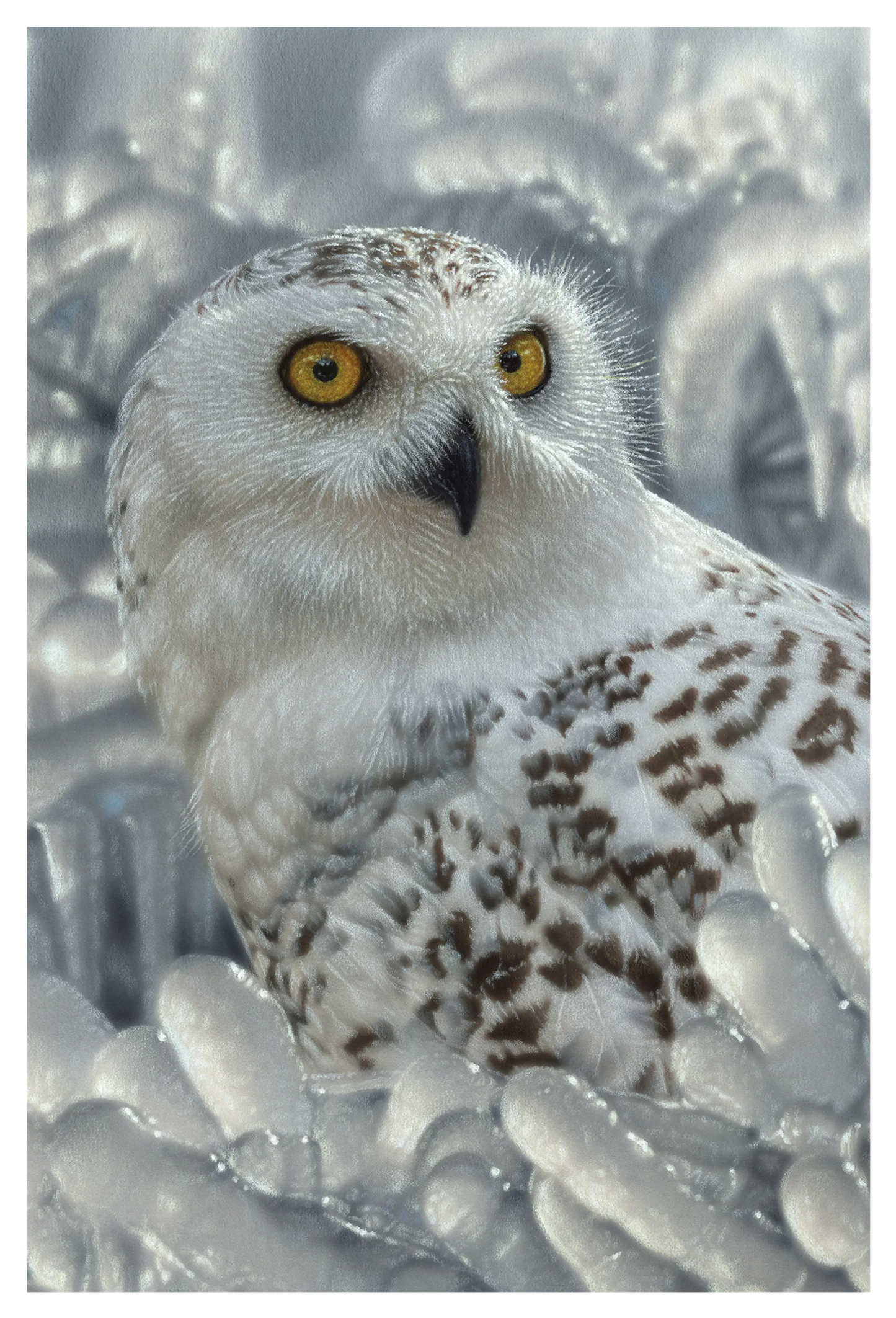 Snow Owl - 3D Postcard