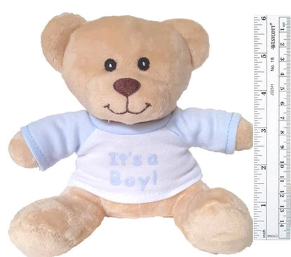 "It's a Boy/Girl!" Small & Super Cute Teddy Bear