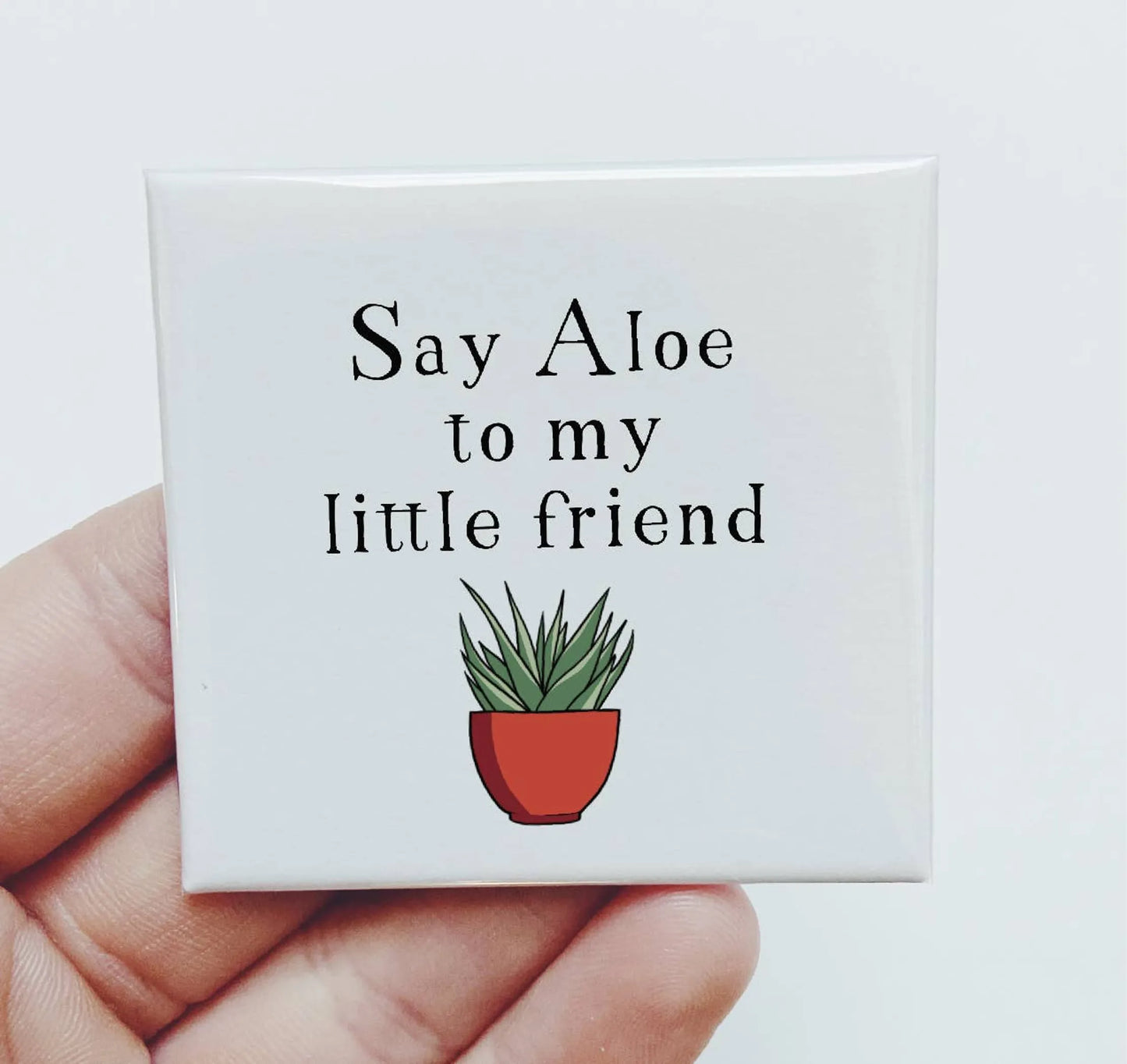 Say Aloe To My Little Friend