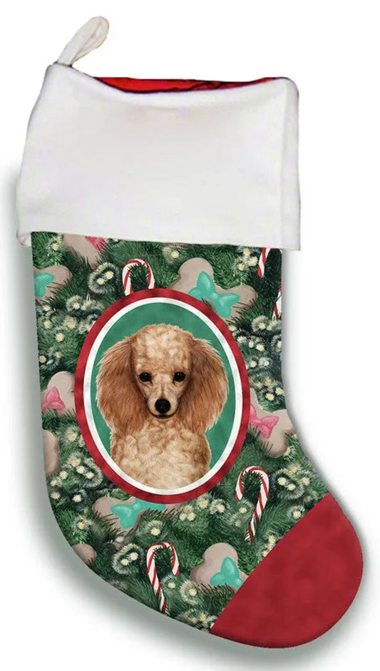 Poodle Apricot- Best of Breed Christmas Stocking