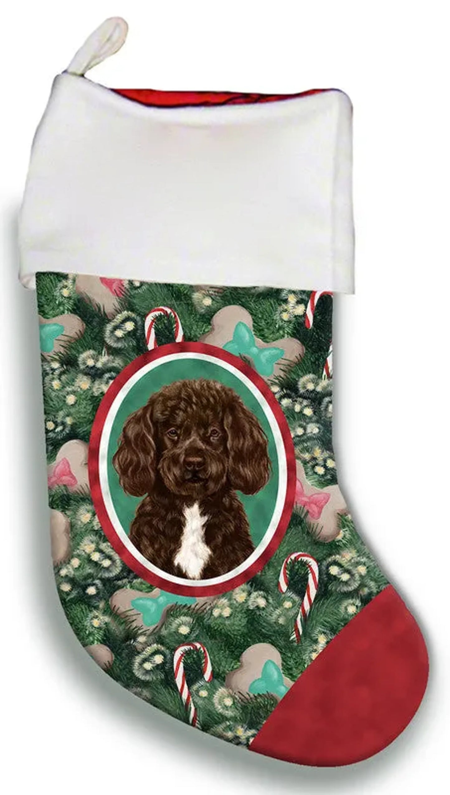 Portuguese Water Dog Chocolate/White Bearded - Best of Breed Christmas Stocking