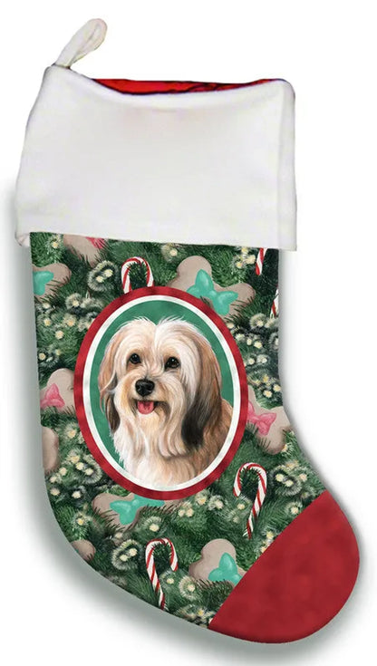 Tibetan Terrier Cream- Best of Breed Christmas Stocking