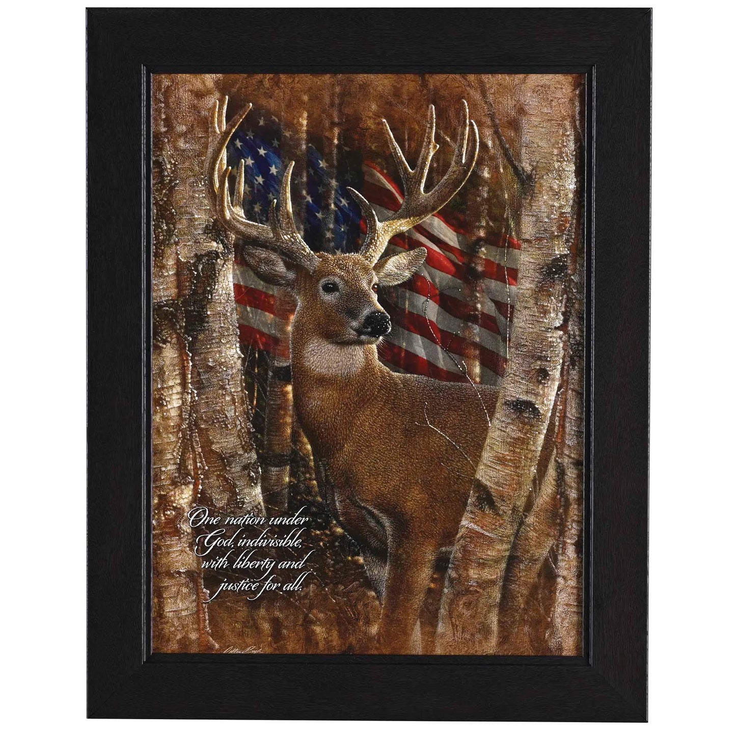 Framed Wall Art White Tail Buck 12x16