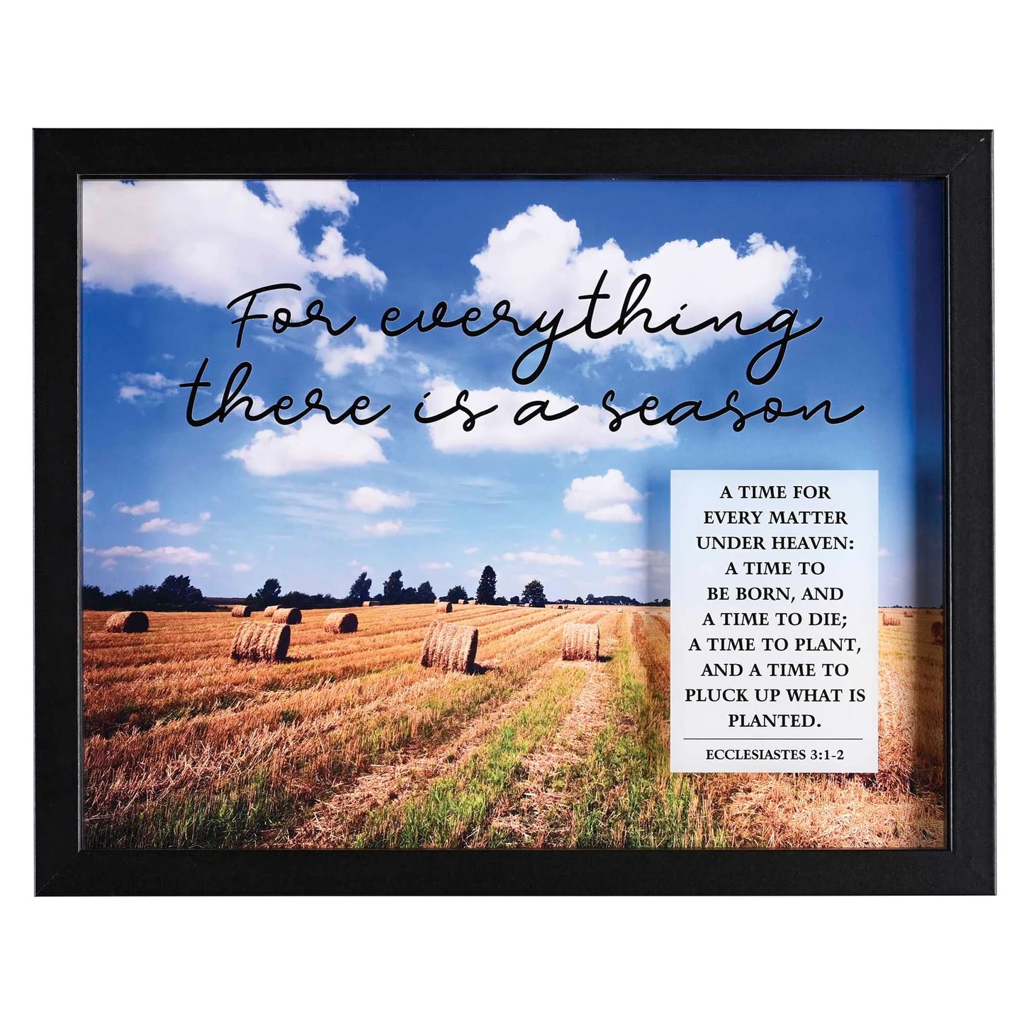 Framed Wall Art For Everything 14x11