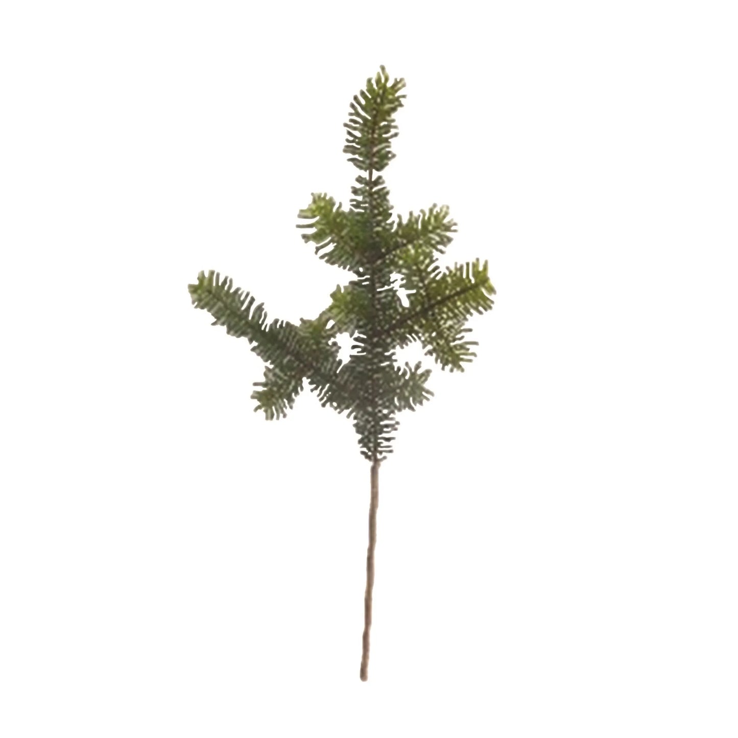 Pine Spray