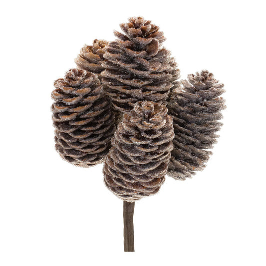 Pine Cone Bundle