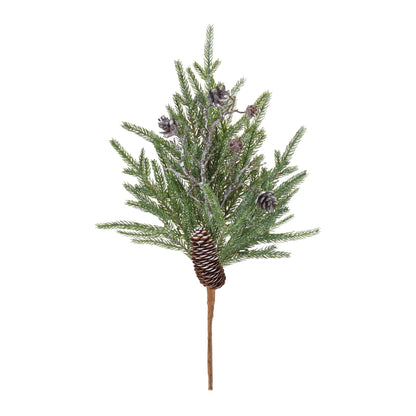 Pine and Cone Stem