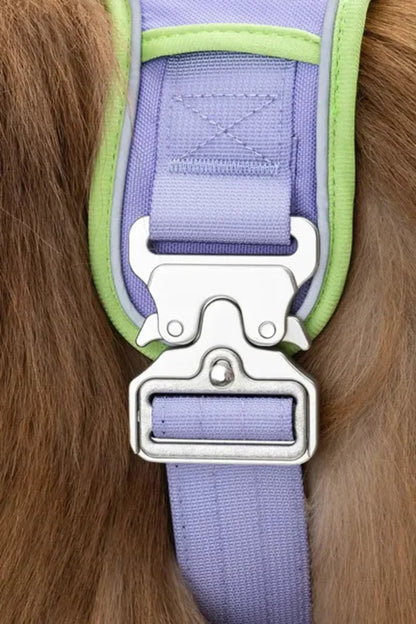 Lavender Garden Ultimate Dog Harness