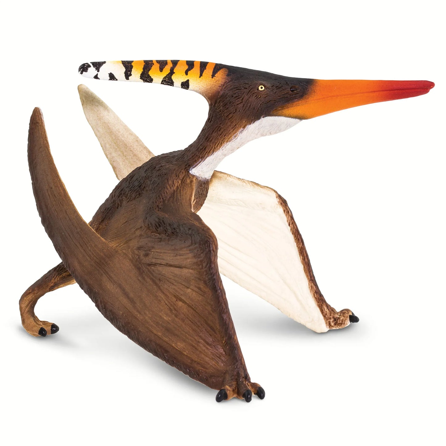 Pteranodon