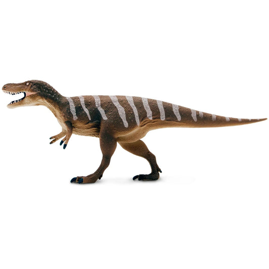 Nanotyrannus