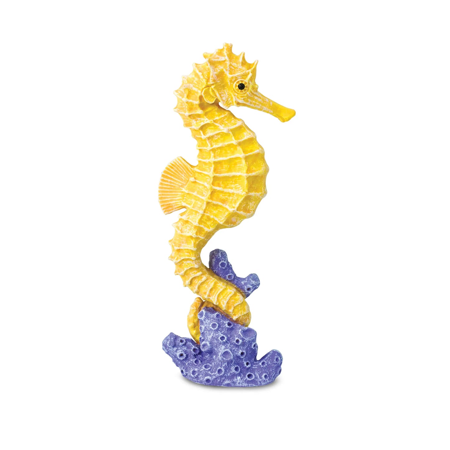 Seahorse