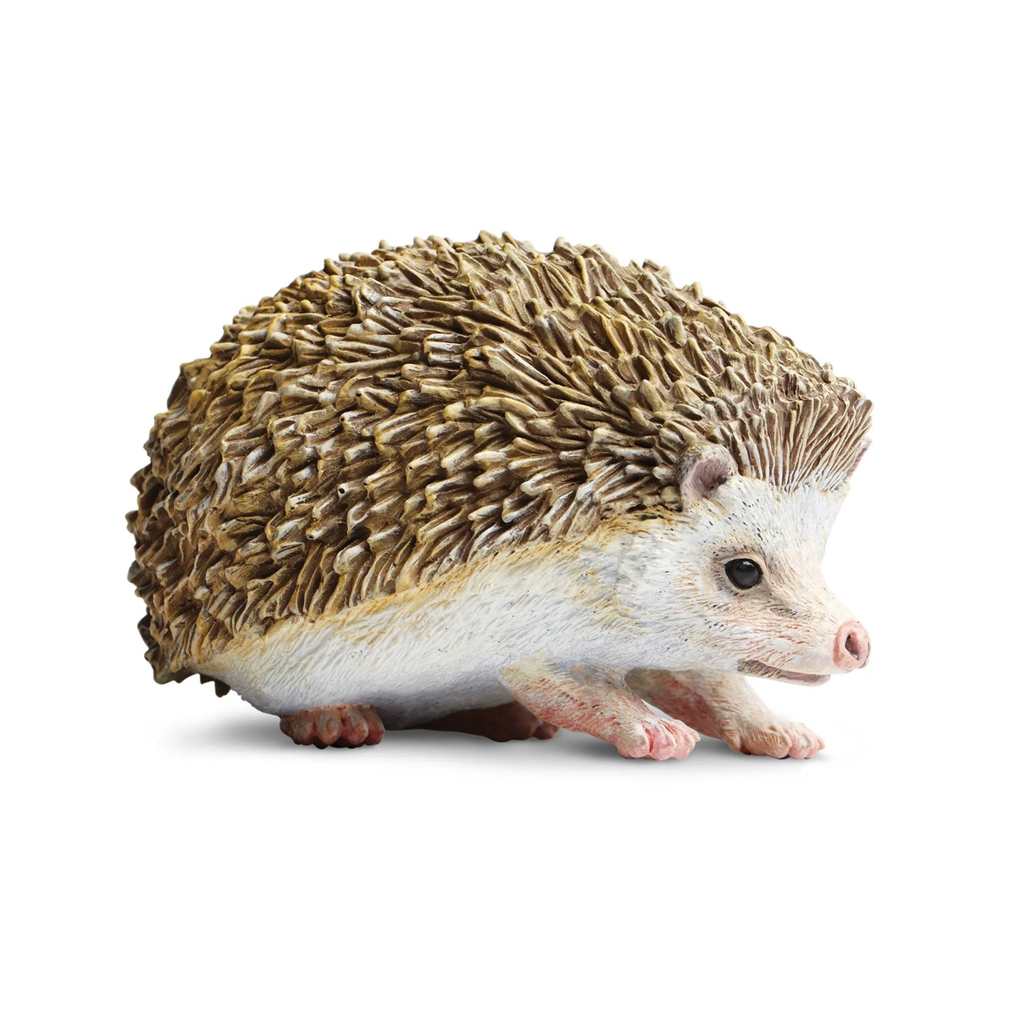 Hedgehog