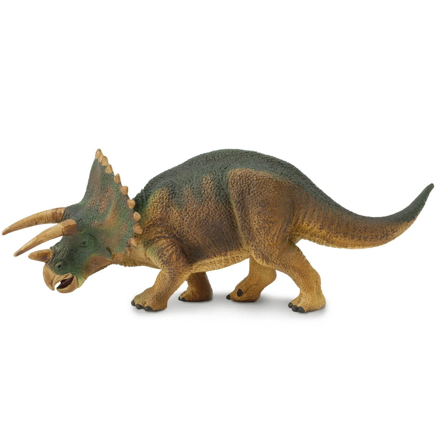 Triceratops