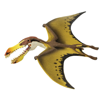 Pterosaur