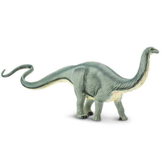 Apatosaurus