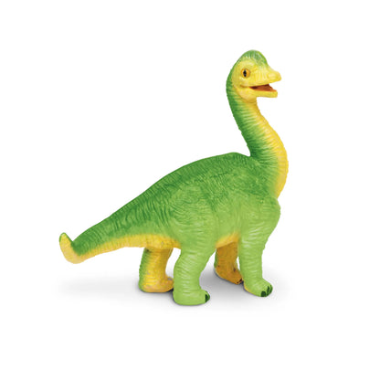 Brachiosaurus Baby