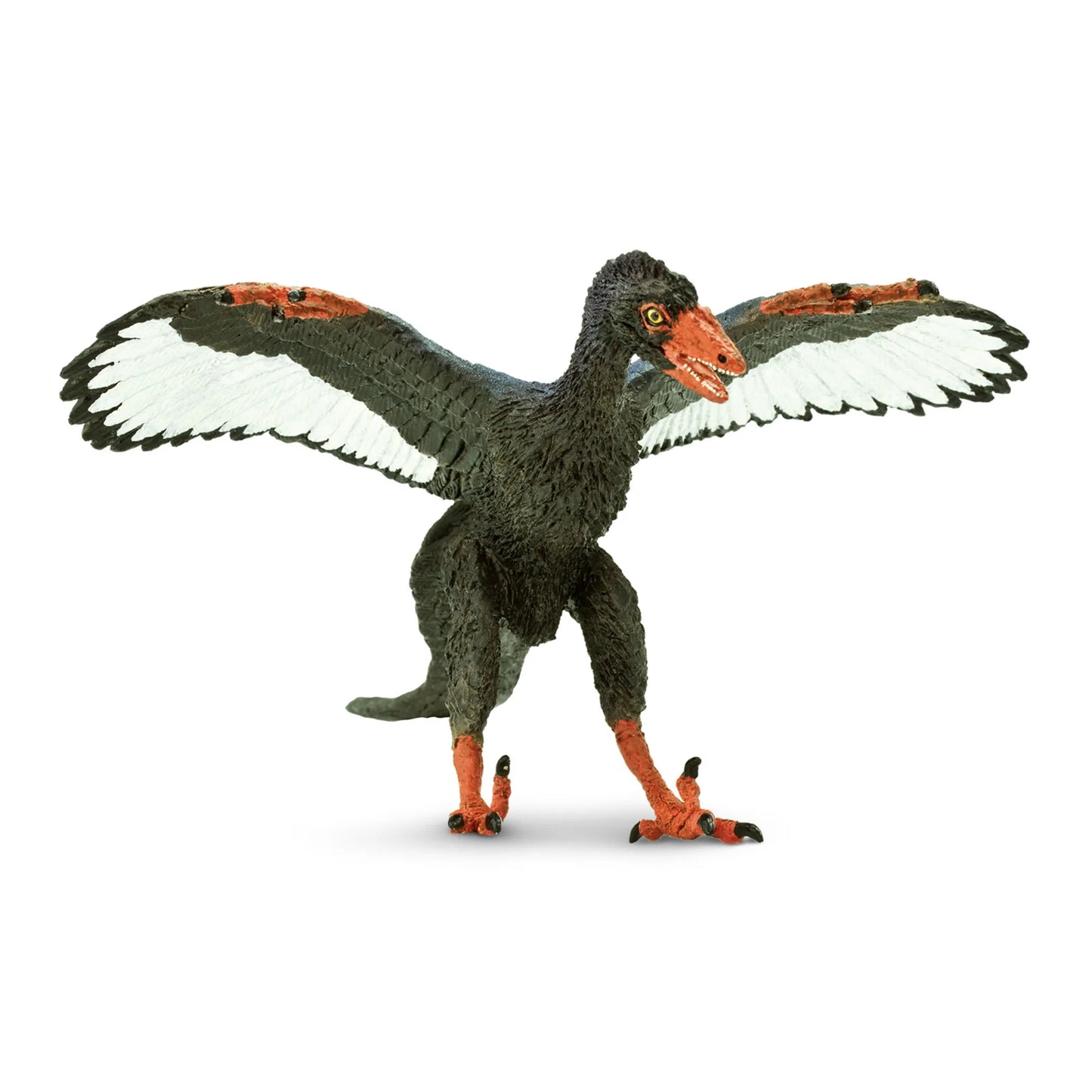 Archaeopteryx