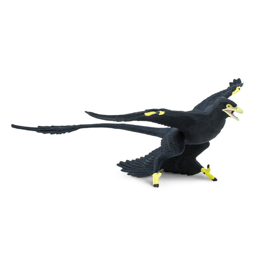 Microraptor