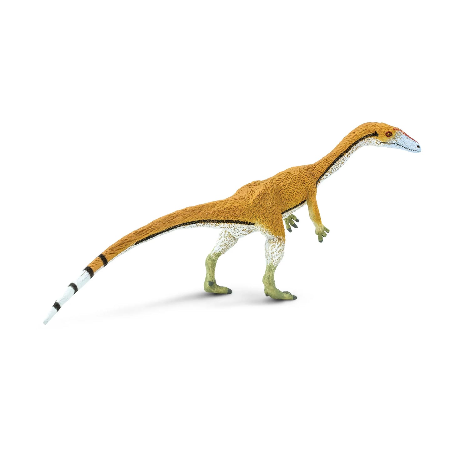 Coelophysis