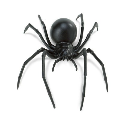 Black Widow Spider